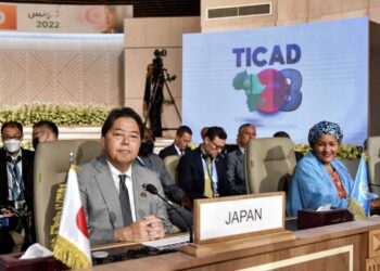 Japan pledges $30 billion in African aid
