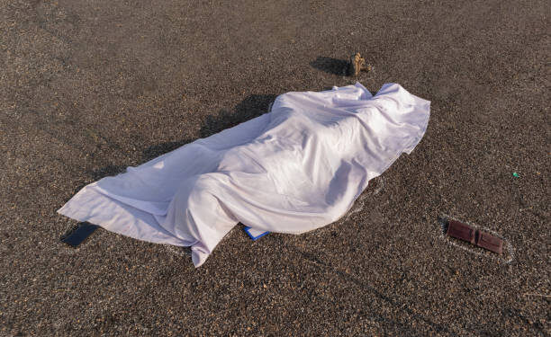 Byo police seek to identify human remains