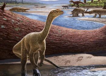 Two-legged dinosaur from Zimbabwe is the oldest ever found in Africa