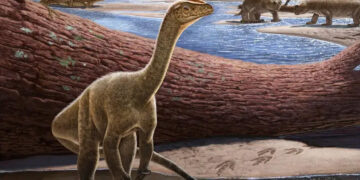 Two-legged dinosaur from Zimbabwe is the oldest ever found in Africa