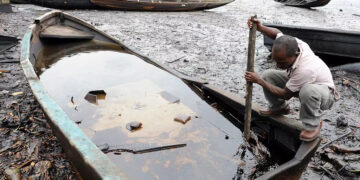 Shell’s bid to clean-up polluted Ogoniland labelled “incompetent”