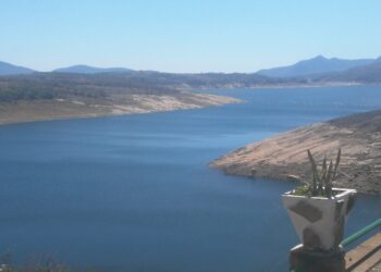 Tugwi-Mukosi And Mutirikwi Dams To Spur Sugar Cane Production In Lowveld