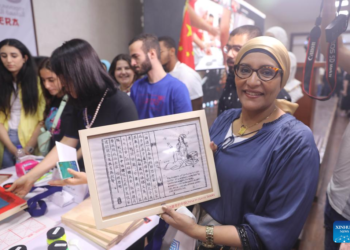 Feature: Egyptian students learn Chinese culture by experiencing traditional crafts