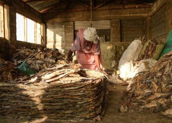 Africa least guilty of global warming but it suffers the most