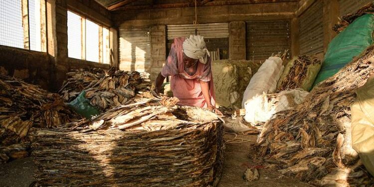 Africa least guilty of global warming but it suffers the most