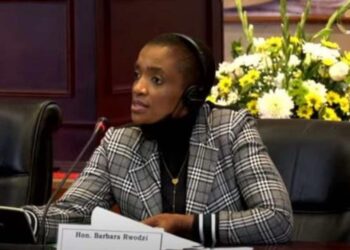 KAZA states up tourism revival drive