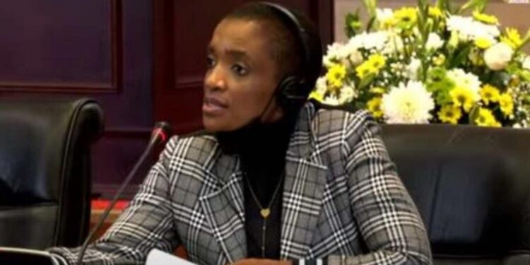 KAZA states up tourism revival drive