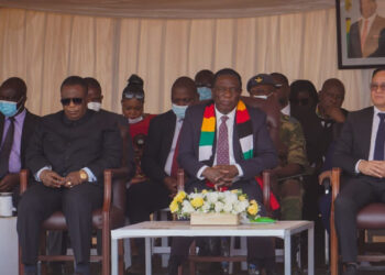Zimbabwe is a lion on the prowl: President Mnangagwa