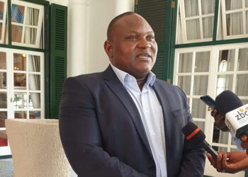 We were given millions to call for sanctions, says former MDC MP