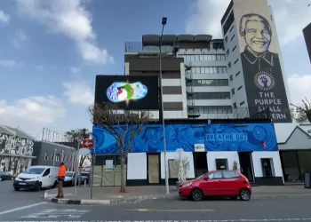 Mural art brings central Johannesburg to life