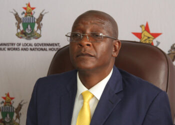 ‘Stop using Gukurahundi to further selfish ends’