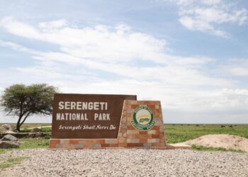 Tanzanian youth finds niche in promoting local tourism of Tanzania