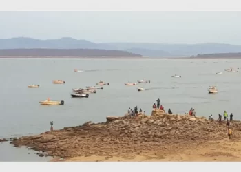 Tiger fishing tourney lights up Kariba