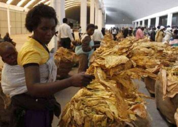 Tobacco sales rake in US$650 million