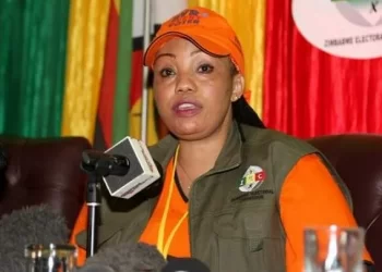 Zimbabwe to go to polls between July and August -ZEC