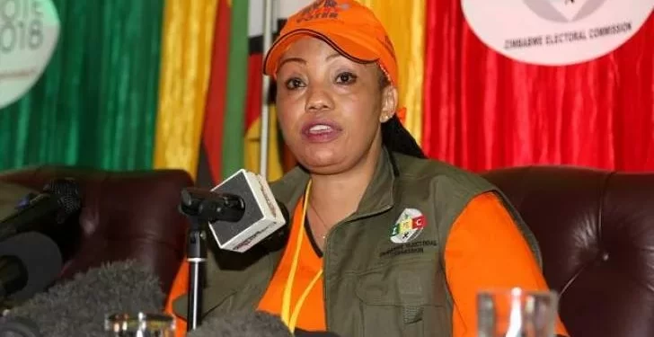 Zimbabwe to go to polls between July and August -ZEC