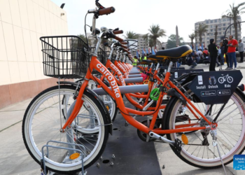 Cairo launches 1st bike-sharing project to promote eco-friendly transport