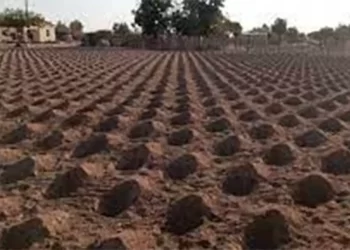 Matabeleland farmers start receiving inputs