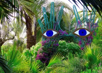 Moroccan paradise teems with plants and art