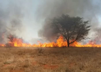 Ten killed in veld fire