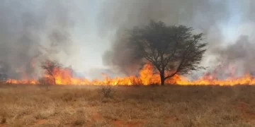 Ten killed in veld fire