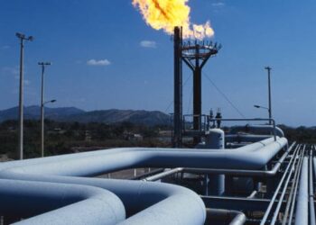 Africa should go its own way on gas