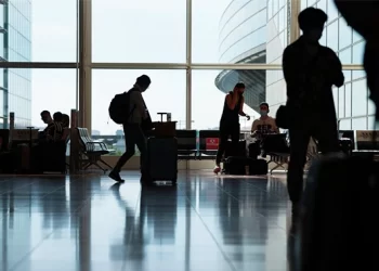 Airlines see return to profit next year