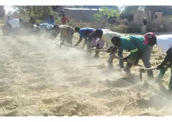Bulawayo farmers ready for Intwasa farming season