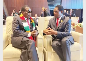 Zim seeks renewable energy investors at COP 27