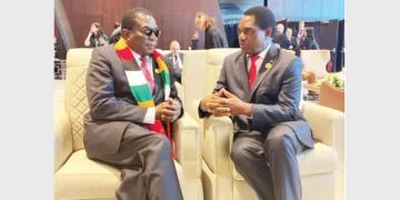 Zim seeks renewable energy investors at COP 27