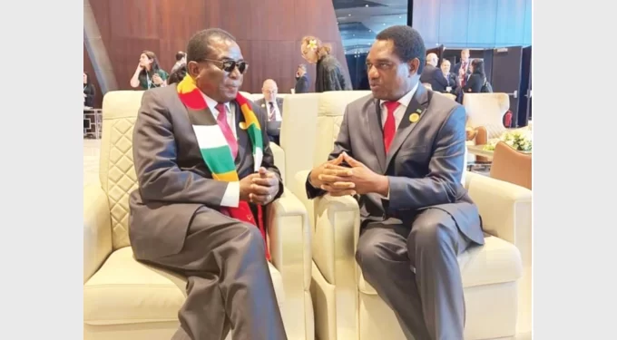 Zim seeks renewable energy investors at COP 27