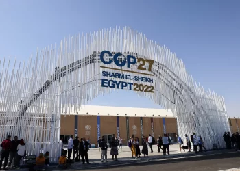 COP 27: Hopes for fair deal diminish