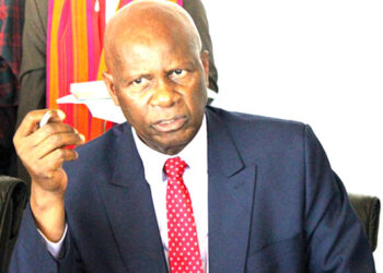 Zanu-PF raises concern over slow Commonwealth process