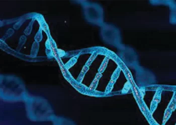 DNA to solve Tsholotsho rape case