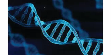 DNA to solve Tsholotsho rape case