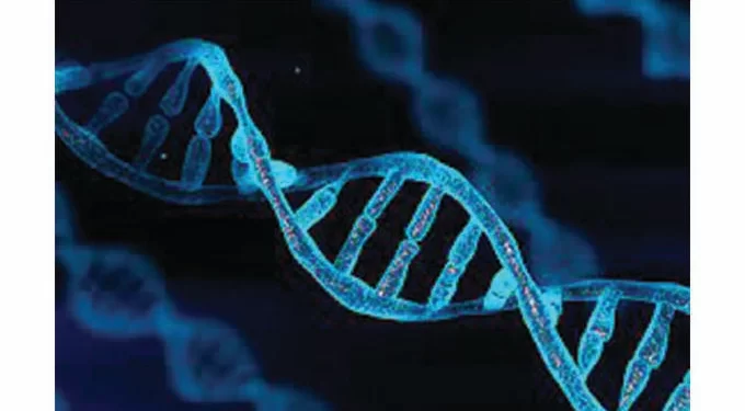 DNA to solve Tsholotsho rape case