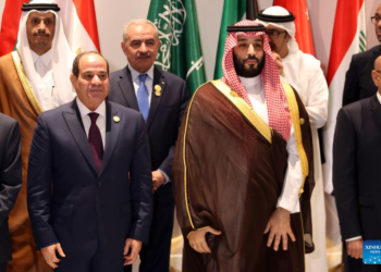 Egyptian president hails MGI “perfect opportunity” for regional climate actions