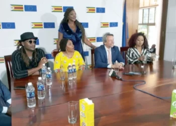 ‘View Africa through African lenses’