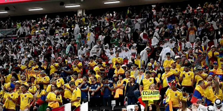 Opening ceremony scenes  #FIFAWorldCup