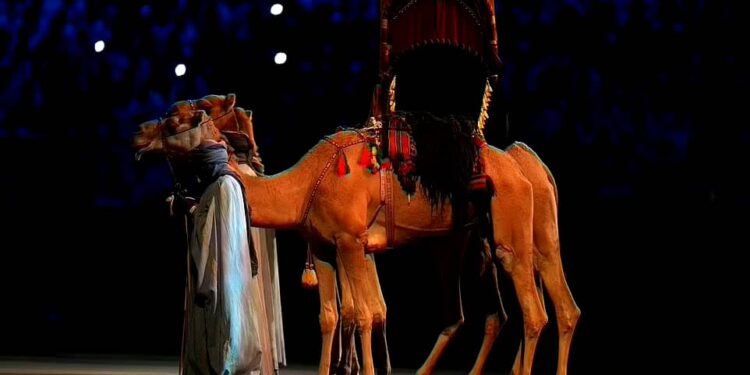Opening ceremony scenes  #FIFAWorldCup