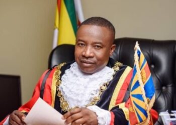 Council splashes US$700k on cars