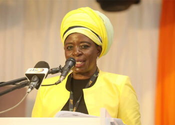 Zimbabwe, Zambia in joint cross-border agro-industrial park