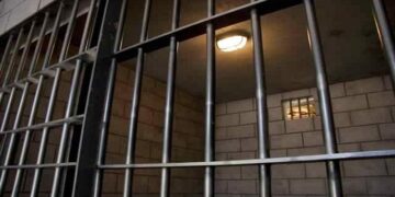 Four Zimbabwe men sentenced to life in South Africa