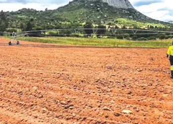 Land reallocations to benefit 260 000