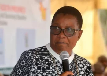 African governments urged to allocate more resources to basic education