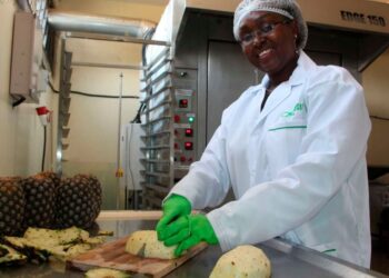 Asian dried fruits give entrepreneur a taste for snacks business