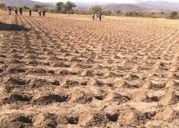 Farming preps in full swing