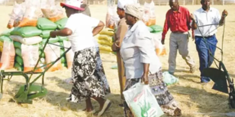 Government accelerates intwasa inputs distribution