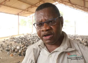 Half of targeted 380k tons wheat yield harvested