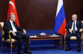 Putin, Erdogan discuss grain export deal over phone